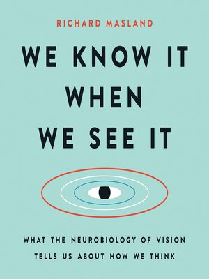 cover image of We Know It When We See It